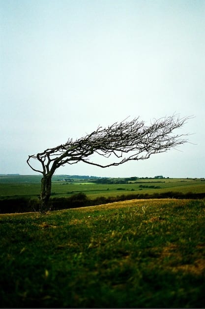 A visual metaphor for adaptability: A tree bending but not breaking in a strong wind. The tree is vibrant and green, with deep roots, symbolizing resilience and stability even in turbulent conditions. The background features a clear, blue sky with dynamic clouds, emphasizing the power of nature and the need to adapt.