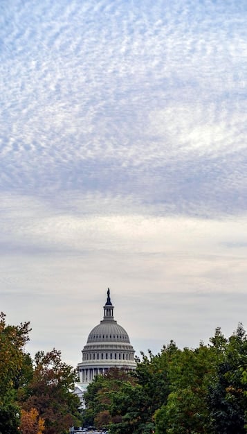 US Debt Ceiling Increase: Projecting Effects on Bonds & Investor Confidence in 2025