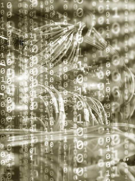 A graphical representation of data encryption, showing data being transformed into unreadable code with a key unlocking it back to its original form. This illustrates data protection measures.